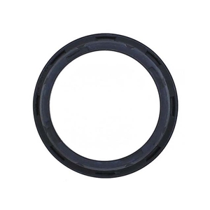 Thermostat Seal (In Water Pump) - 95110615500