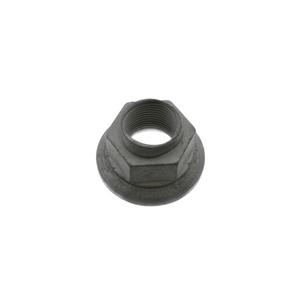 Wheel Hub Nut (22 X 1.5 mm) - 99908413502