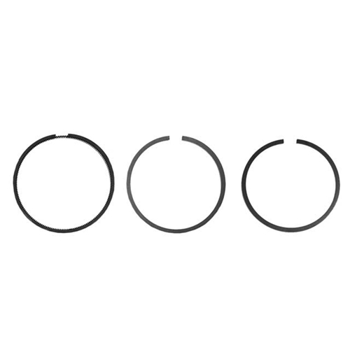 Piston Ring Set - Standard (94.00 mm) 1.5 - 1.75 - 4 mm - 100177122