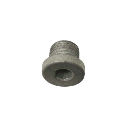 Coolant Drain Plug on Oil Pump Housing (10 X 1 mm) - 90021900701