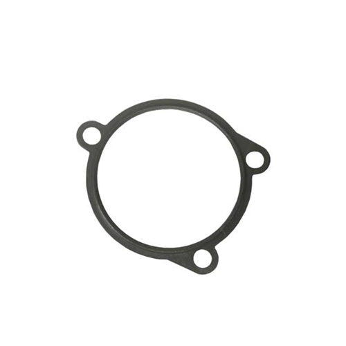 Thermostat Housing Gasket - 99610632671