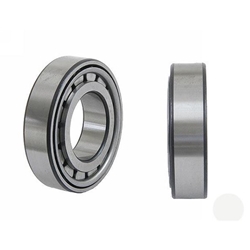 Transmission Bearings