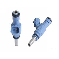 Fuel Injection & Related