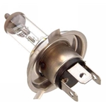 Porsche Halogen Light Bulb H-4 H4 80/100w