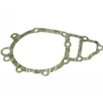 Porsche Water Pump Gasket