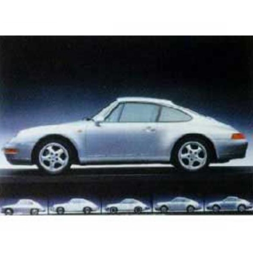 Poster, 993 The Evolution