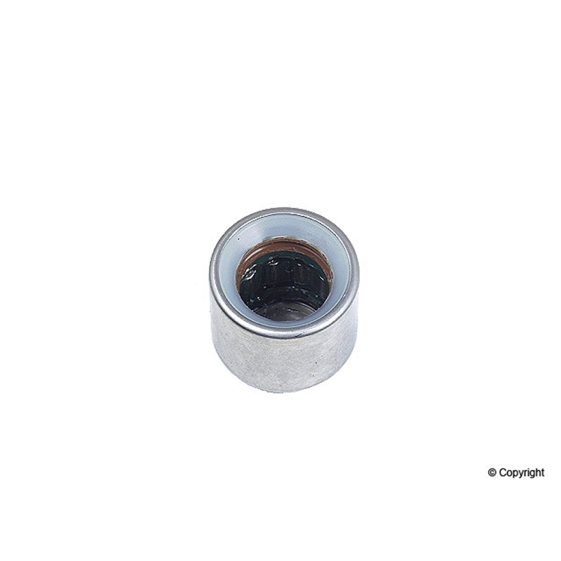 Porsche Clutch Pilot Bearing INA