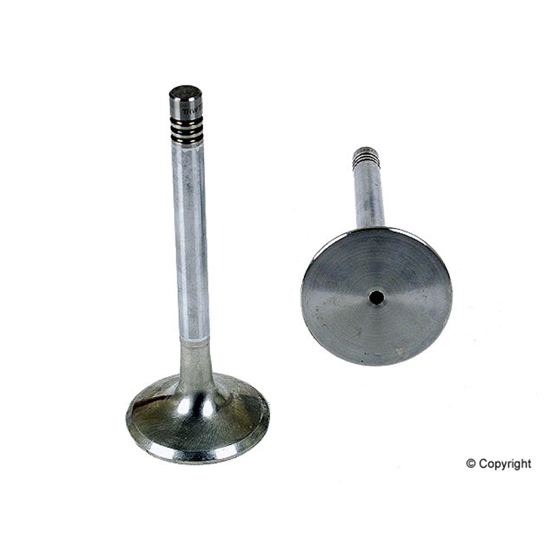 Porsche Engine Exhaust Valve - AE