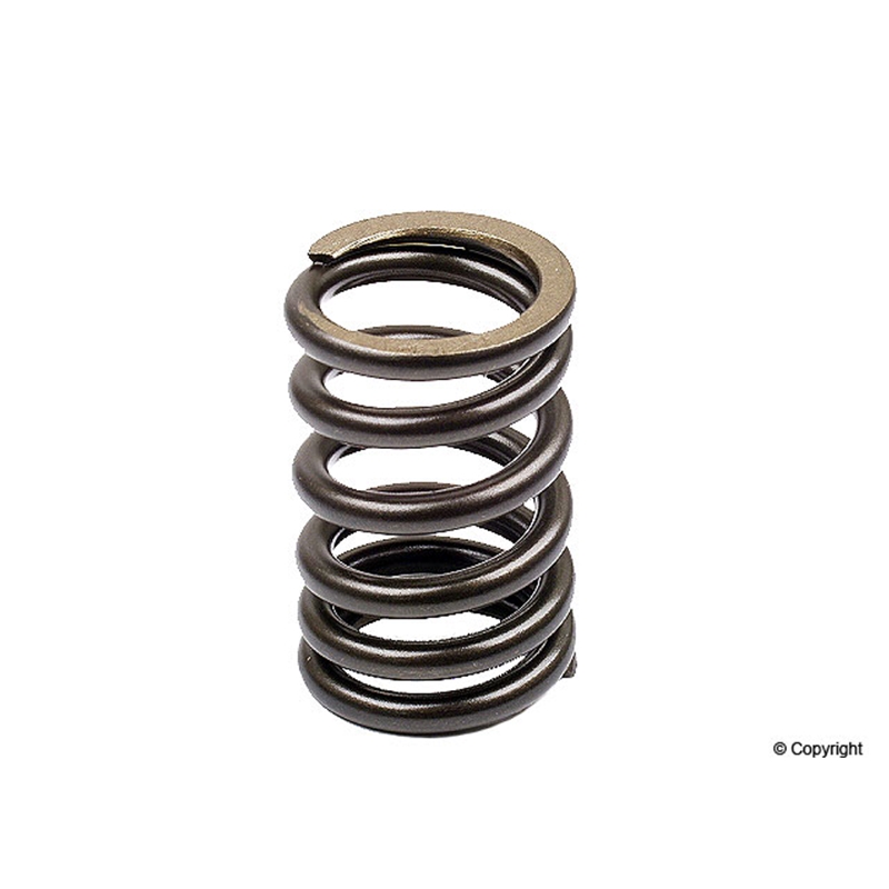 Porsche Engine Valve Spring - OE Supplier
