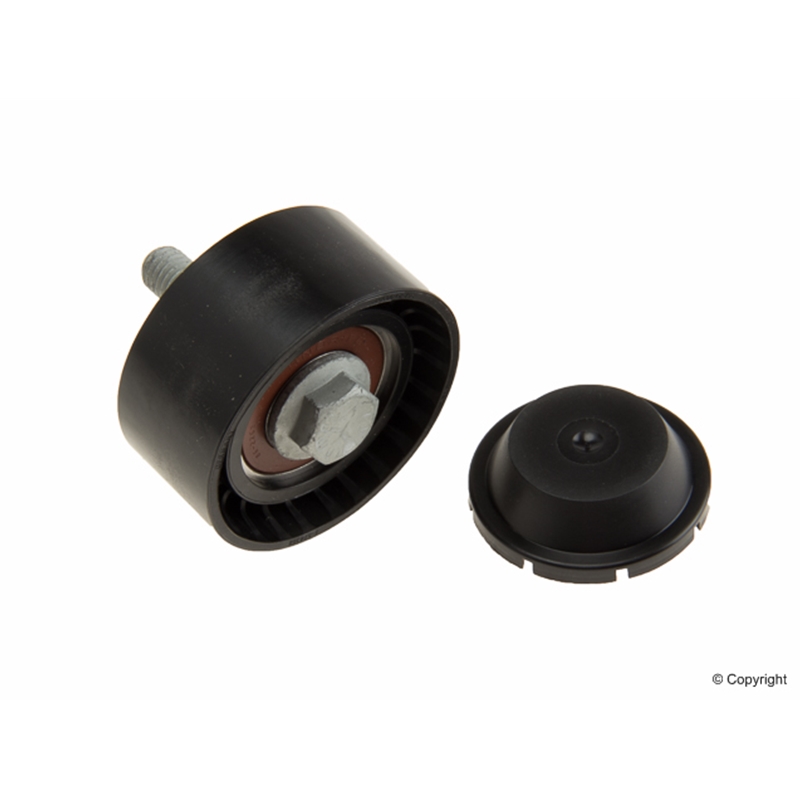 Porsche Idler Pulley INA