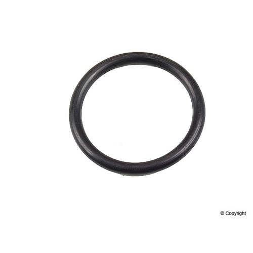 RUBBER O-RING*