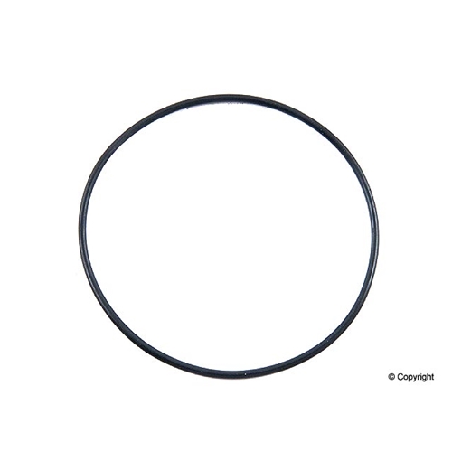 RUBBER O-RING*