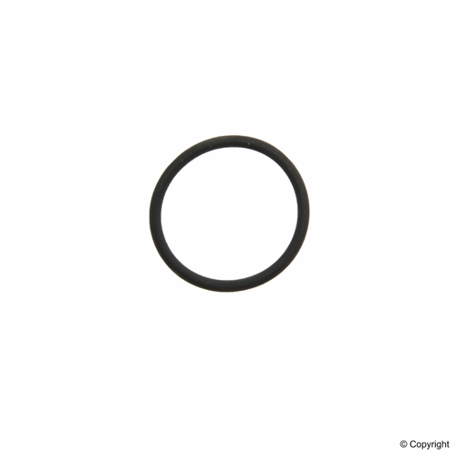 RUBBER O-RING