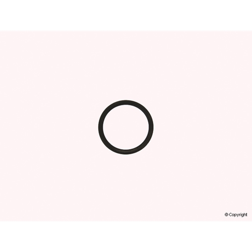 O-RING