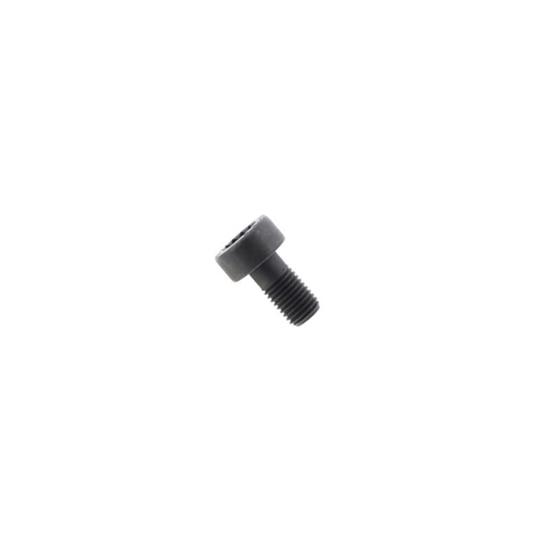 PAN-HEAD SCREW