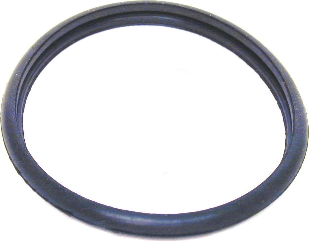 Porsche Thermostat O-Ring - URO