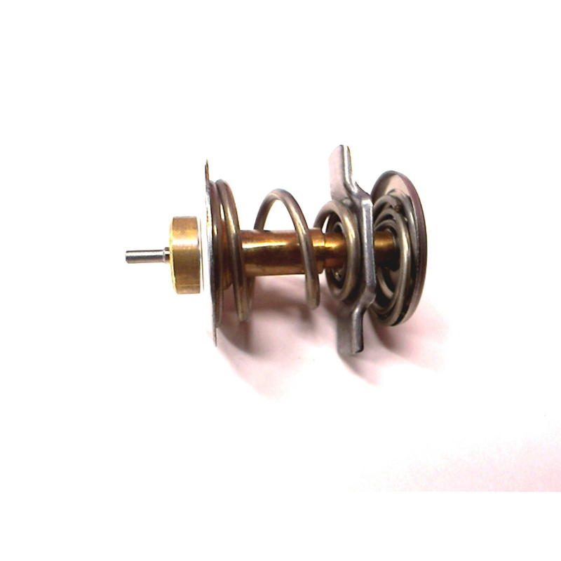 Porsche - Thermostat Insert