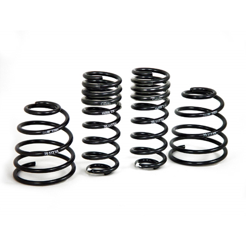 Porsche H&R Sport Springs Kit