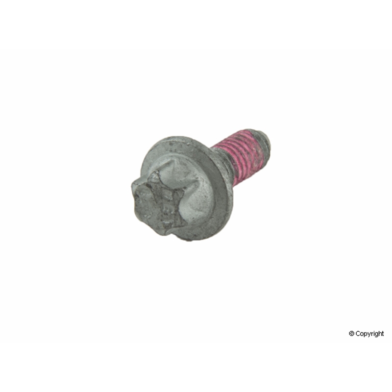 Porsche Engine Oil Filler Pipe Bolt - Genuine