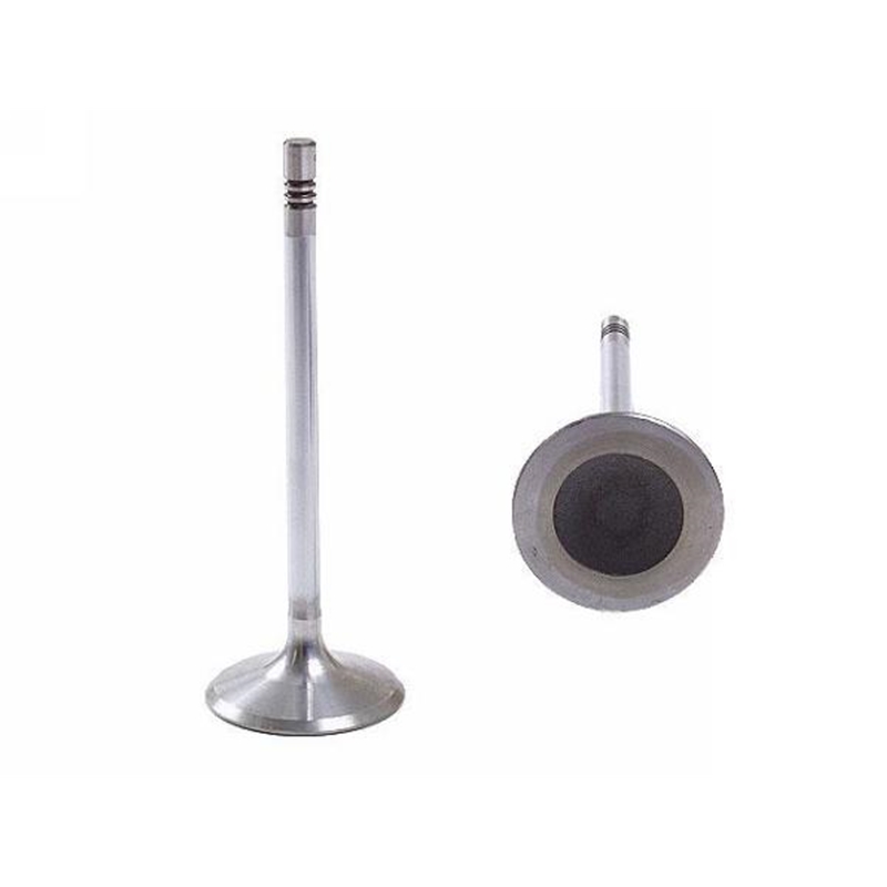Porsche Boxster S & 996 Intake Valve - Schoettle
