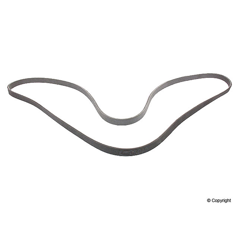 Porsche Multi Rib Belt