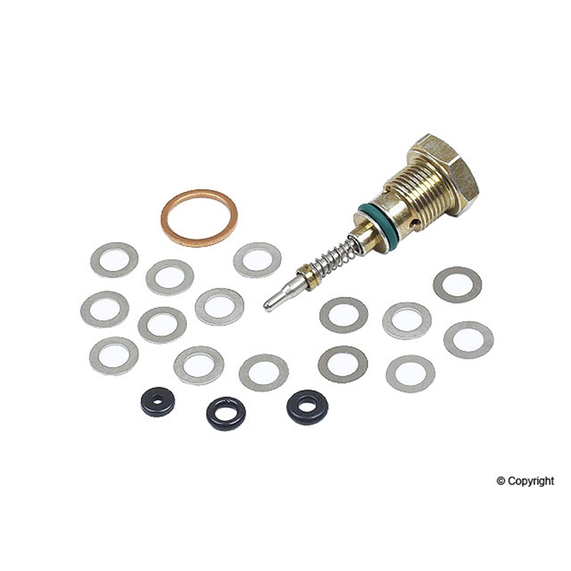 Porsche Fuel Injection Fuel Distributor Valve Kit Bosch