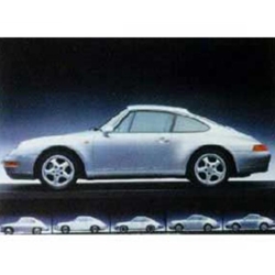 Poster, 993 The Evolution