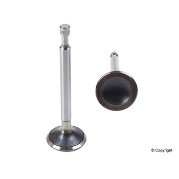 Porsche Engine Intake Valve - AE