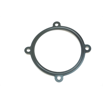 Porsche GT3 Throttle Body Seal
