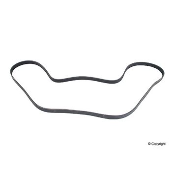 Porsche Serpentine Belt - Continental