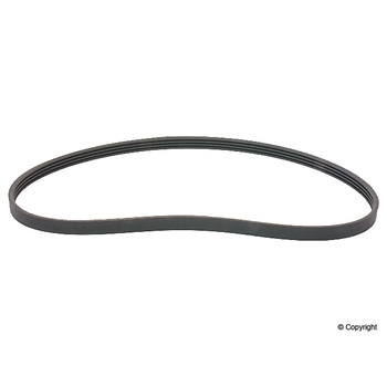Porsche Serpentine Belt Continental Alternator
