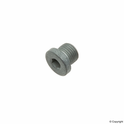 Porsche Tensioner Bleeder Bolt