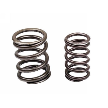 Porsche Valve Spring Set