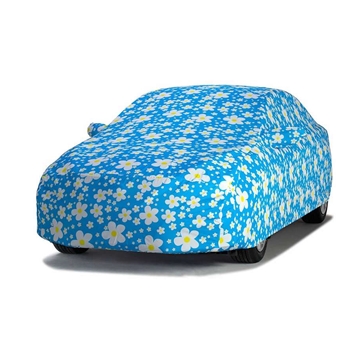 Car Cover