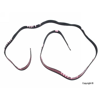 Seal, Carrera Tail Base