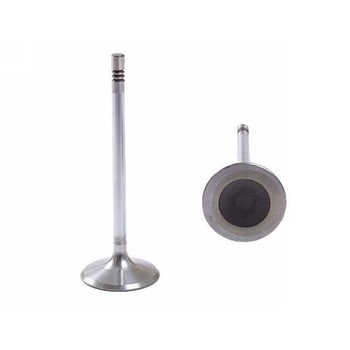 Porsche Boxster S & 996 Intake Valve - Schoettle