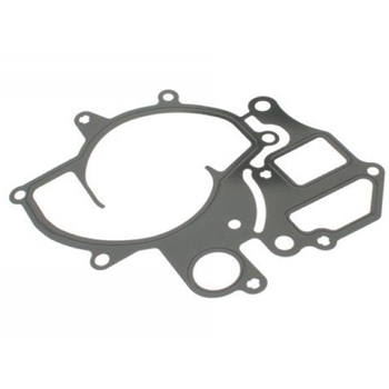 Porsche Water Pump Gasket