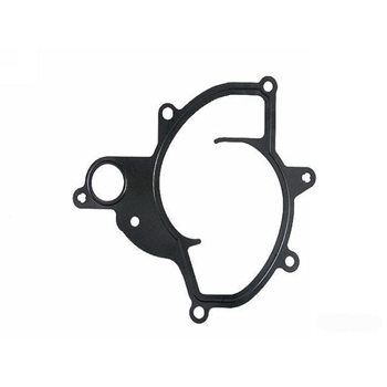 Porsche Water Pump Gasket