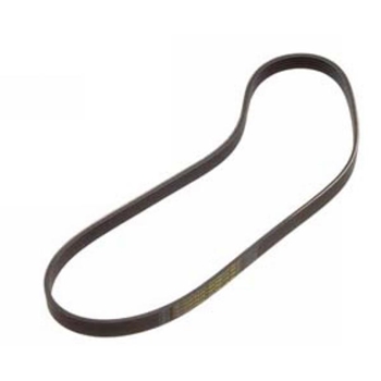 Porsche Air Condition - Alternator Belt - 5pk1000