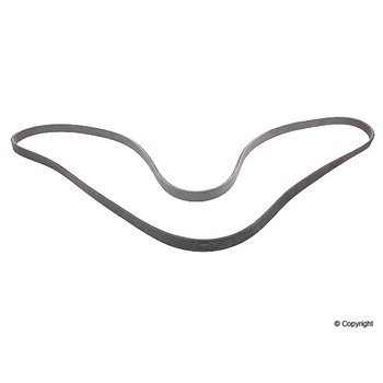 Porsche Multi Rib Belt