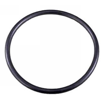 Porsche Thermostat O Ring Seal