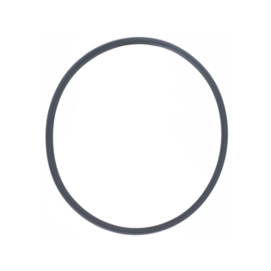 Timing Chain Guide Rail