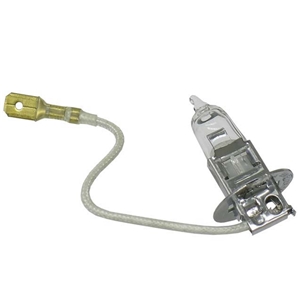 Bulb - Halogen (12V - 55W) - H3