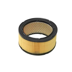 Air Filter - 61610893200