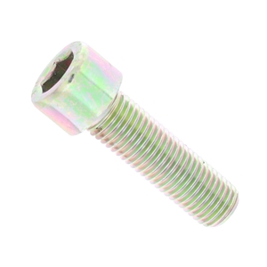 Brake Caliper Bolt (12 X 40 mm) - 90006717002