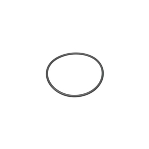 Throttle Housing O-Ring