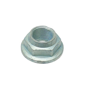 Wheel Hub Nut (22 X 1.5 mm) - 99909001001