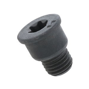 Brake Disc Set Screw (12 X 19.3 mm Torx) - PAF910282
