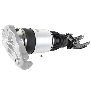 Air Suspension Strut Assembly - AS3165