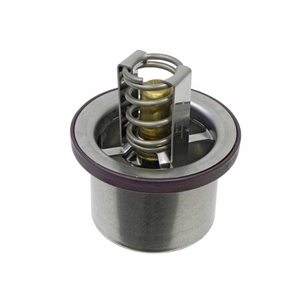 Thermostat with Seal (89 deg. C) - 94810612501